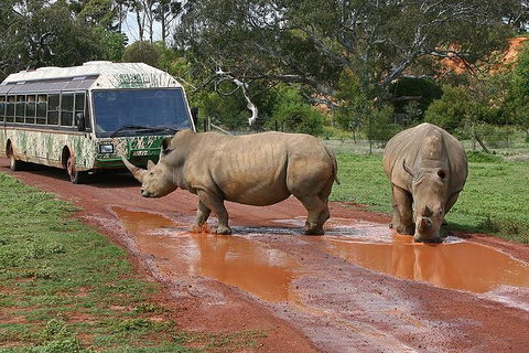 The Ultimate Melbourne Attractions Pass - Accommodation Noosa 4