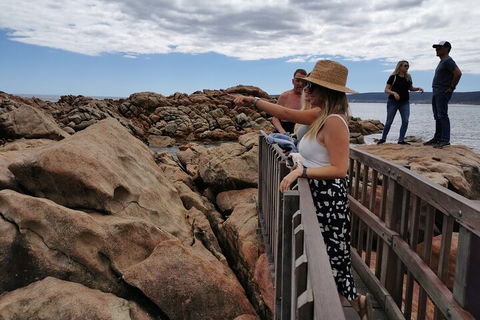 Margaret River Impression Day Tour From Perth - Accommodation Noosa 4