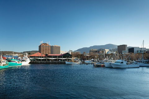 Hobart City Sightseeing Tour Including MONA Admission - Accommodation Noosa 0