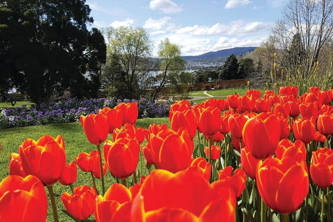 Hobart City Sightseeing Tour Including MONA Admission - Accommodation Noosa 4
