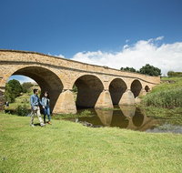 Bonorong Wildlife Park and Richmond Afternoon Tour from Hobart - Accommodation Noosa