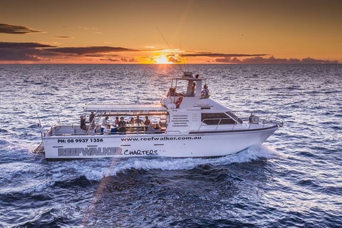 Kalbarri Sunset Coastal Cliff Cruise - Accommodation Noosa 2