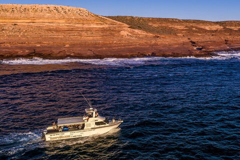 Kalbarri Sunset Coastal Cliff Cruise - Accommodation Noosa 4