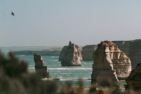 Half-Day Or Full-Day Tour With Private Guide From Melbourne - Accommodation Noosa 0