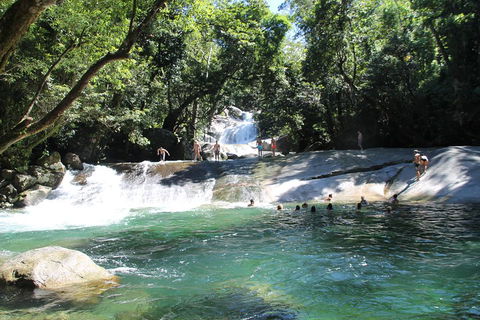 Double Pack-Ancient Rainforest And Waterfalls! - Accommodation Noosa 2