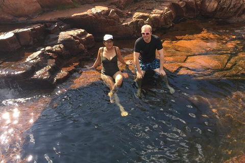 One Day Litchfield Park Adventures - Accommodation Noosa 0