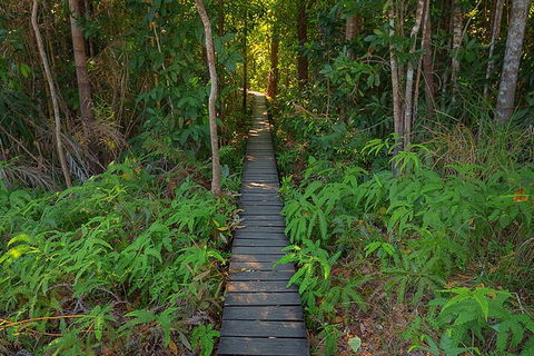 One Day Litchfield Park Adventures - Accommodation Noosa 4