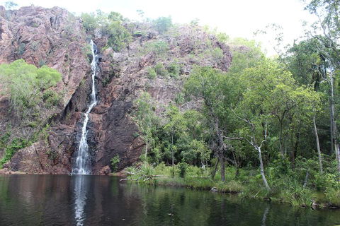 Jumping Crocodile Cruise And Berry Springs Nature Park - Accommodation Noosa 5
