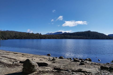 6-Day Hearty Tasmania Tour (Tasmania In A Circle) - Accommodation Noosa 1