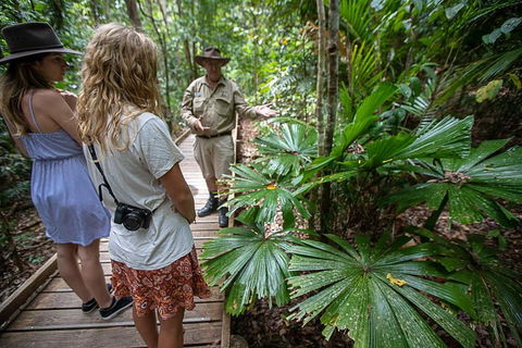 2 Day Daintree Rainforest, Cape Tribulation And Outback Chillagoe Tour - Accommodation Noosa 2