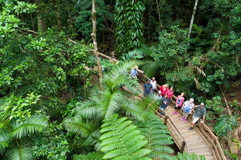 2 Day Daintree Rainforest, Cape Tribulation And Outback Chillagoe Tour - Accommodation Noosa 3