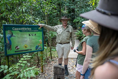 2 Day Daintree Rainforest, Cape Tribulation And Outback Chillagoe Tour - Accommodation Noosa 5