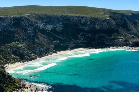 Kangaroo Island Scenic Trail Tour - Accommodation Noosa 4