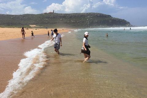 Small-Group Sydney's Northern Beaches And Ku-ring-gai National Park Bus Tour - Accommodation Noosa 5