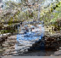 Small-Group Buggy Tour at Little Sahara with Guide - Accommodation Noosa
