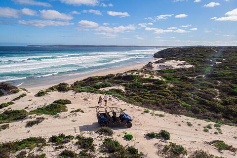 Small-Group Buggy Tour At Little Sahara With Guide - Accommodation Noosa 1