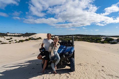 Small-Group Buggy Tour At Little Sahara With Guide - Accommodation Noosa 2