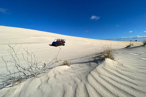 Small-Group Buggy Tour At Little Sahara With Guide - Accommodation Noosa 3