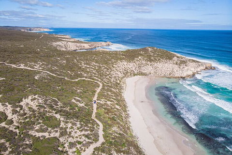 Small-Group Buggy Tour At Little Sahara With Guide - Accommodation Noosa 4