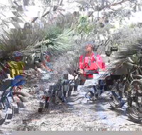 2 Hour Bike Tour in Kangaroo Island - Accommodation Noosa