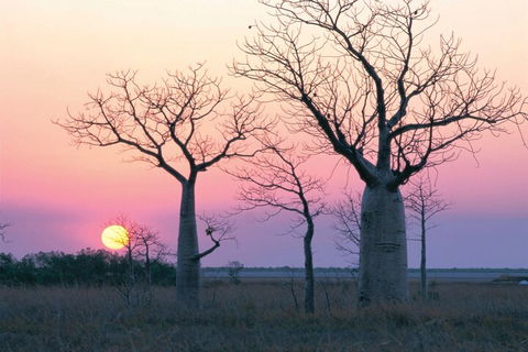 8-Day Outback Experience From Queensland - Accommodation Noosa 5
