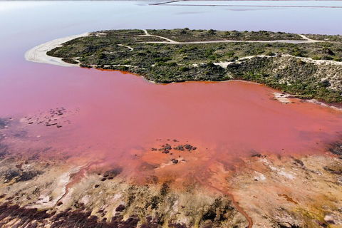 Pink Lake Small-Group Buggy Tour - Accommodation Noosa 2