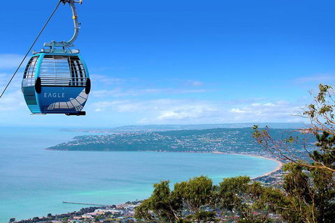 Mornington Peninsula Small Group Day Tour - Accommodation Noosa 2