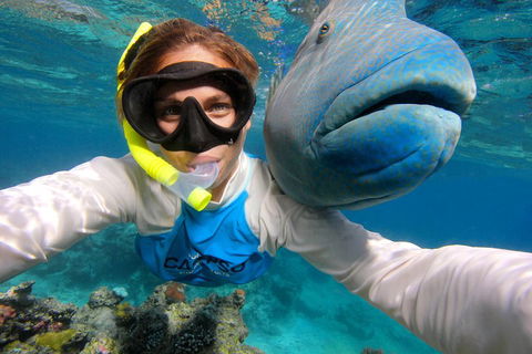 Calypso Outer Great Barrier Reef Cruise From Port Douglas - Accommodation Noosa 5