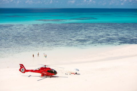 Private Helicopter Tour: Reef Island Snorkeling And Gourmet Picnic Lunch - Accommodation Noosa 2