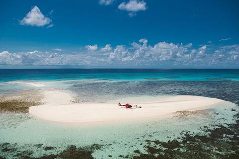 Private Helicopter Tour: Reef Island Snorkeling And Gourmet Picnic Lunch - Accommodation Noosa 4