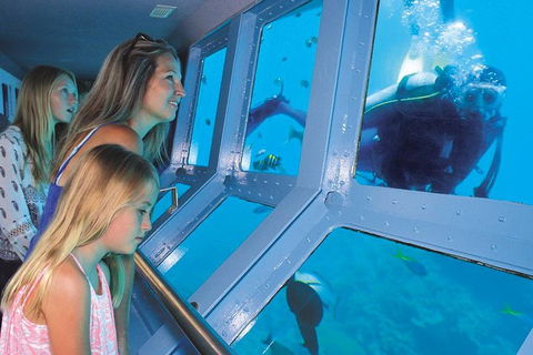 Helicopter And Cruise Packages From Port Douglas - Accommodation Noosa 0