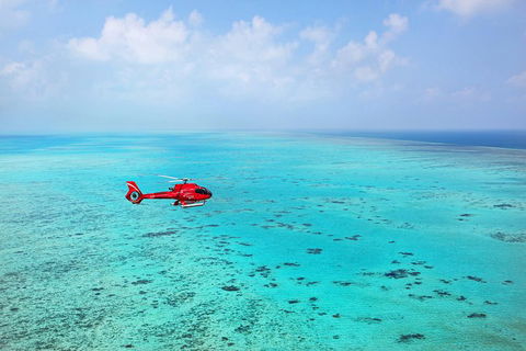 Helicopter And Cruise Packages From Port Douglas - Accommodation Noosa 1