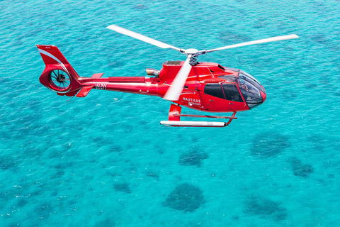Helicopter And Cruise Packages From Port Douglas - Accommodation Noosa 5