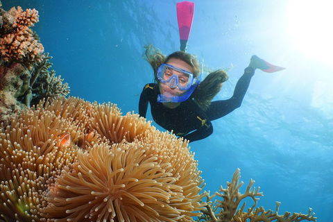 Port Douglas - Cruise And 10 Minute Scenic Flight - Accommodation Noosa 3