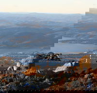 Mt. Wellington Bonorong and Richmond Day Tour from Hobart - Accommodation Noosa