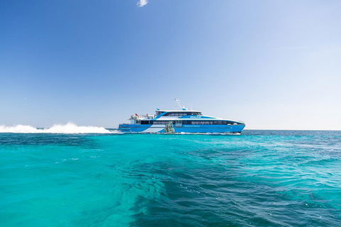 Rottnest Island Bike, Snorkel & Ferry Package From Fremantle - Accommodation Noosa 0