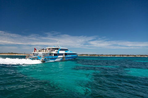 Perth To Rottnest Island Roundtrip Ferry Ticket - Accommodation Noosa 4