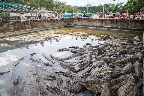 Hartley's Crocodile Adventures Day Trip From Cairns - Accommodation Noosa 0