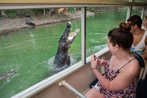 Hartley's Crocodile Adventures Day Trip From Cairns - Accommodation Noosa 3