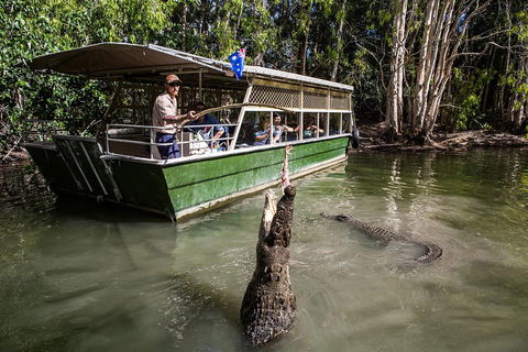 Hartley's Crocodile Adventures Day Trip From Palm Cove - Accommodation Noosa 2