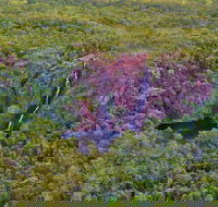 Litchfield Park  Daly River - Scenic Flight From Darwin - Accommodation Noosa