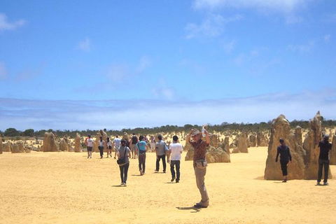 Pinnacles & Rottnest Island Scenic Air & Ground Tour - Accommodation Noosa 3