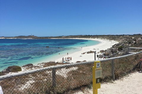 Wave Rock, Pinnacles And Rottnest One Day Aeroplane Tour - Accommodation Noosa 2