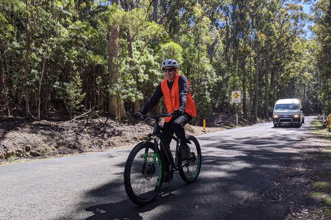 Mount Wellington Descent Cycling Tour Departs Hobart - Accommodation Noosa 3