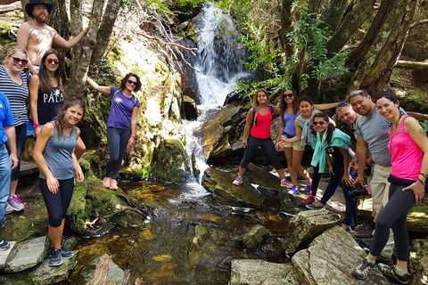 7-Day Super Value Tour Of Tasmania: Explore Tasmania's West And East Coasts - Accommodation Noosa 2