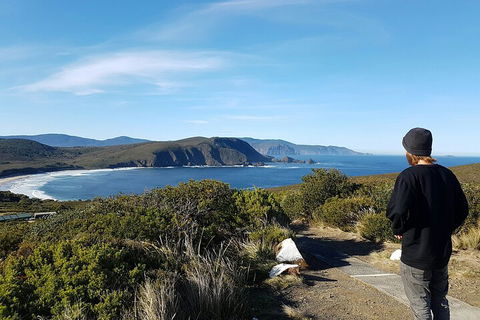 4-Day Fabulous Tasmania Tour: Wineglass Bay, Port Arthur, Devils & Bruny Island - Accommodation Noosa 0