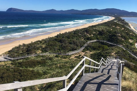 4-Day Fabulous Tasmania Tour: Wineglass Bay, Port Arthur, Devils & Bruny Island - Accommodation Noosa 5