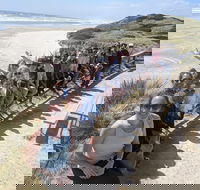 3 Day Tasmanian Wild West Coast Tour from Hobart to Launceston - Accommodation Noosa