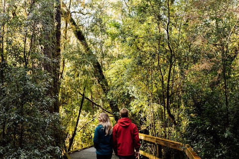 Gordon River Cruise Departing From Strahan - Accommodation Noosa 2