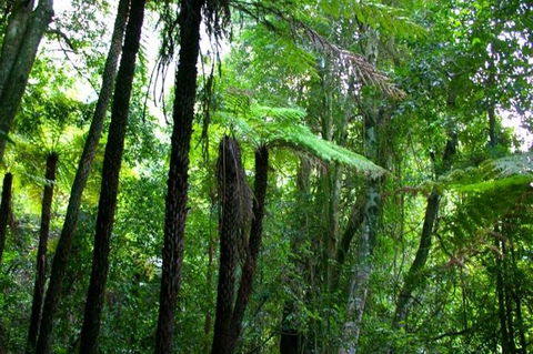 Private Tour: Blue Mountains Day Trip From Sydney - Accommodation Noosa 4